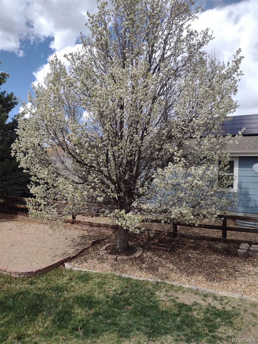 MLS Image #33 for 7661  chickaree court,littleton, Colorado