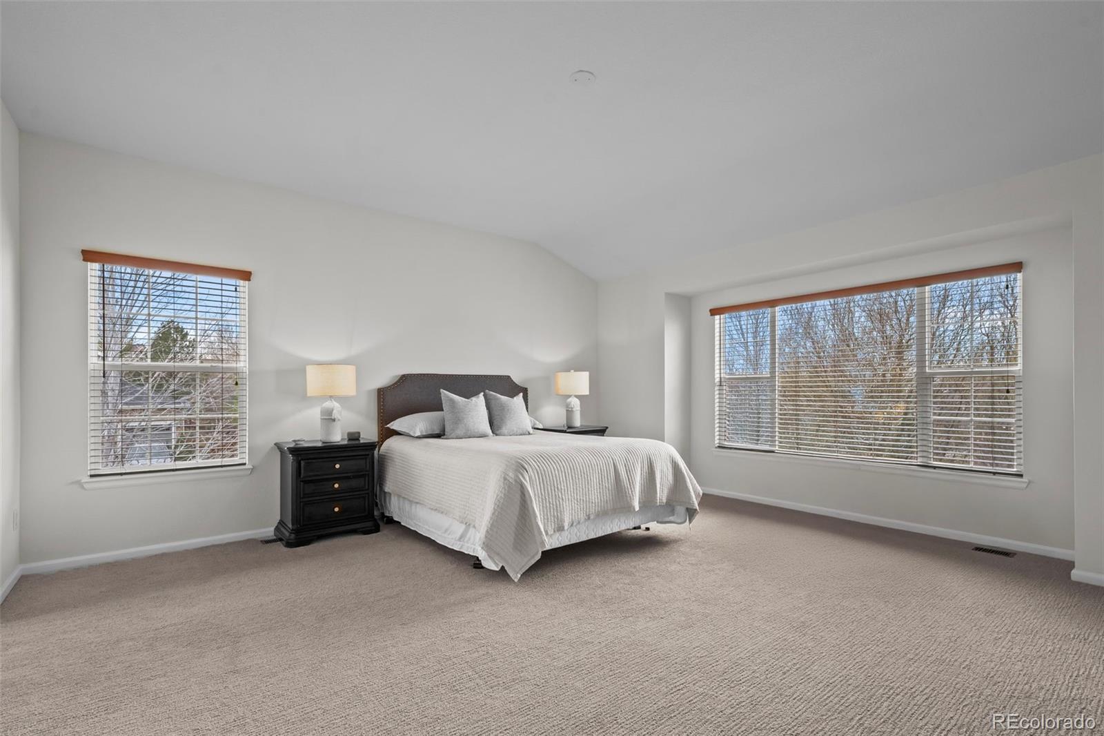 MLS Image #22 for 4463  eagle river run,broomfield, Colorado