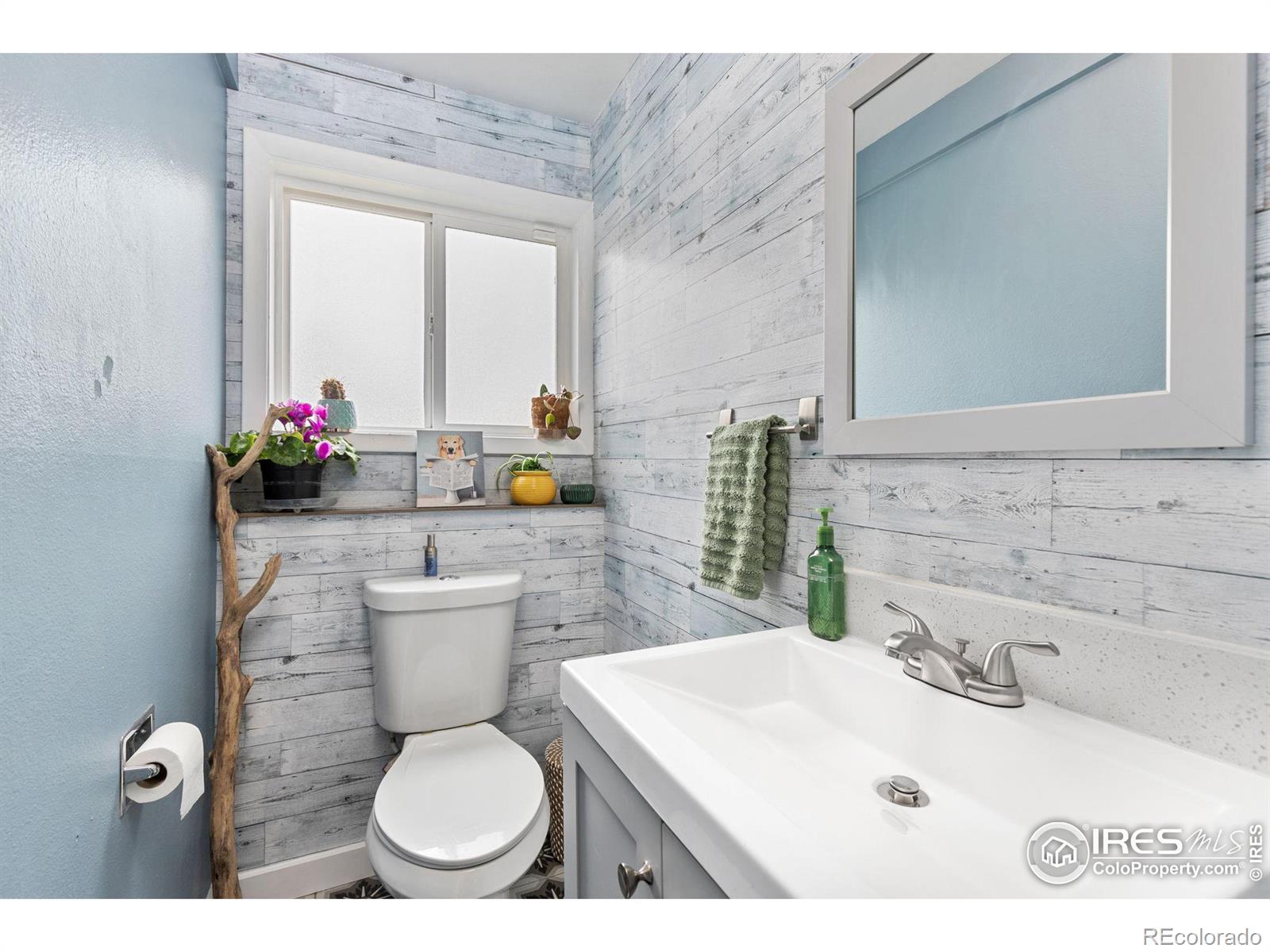MLS Image #13 for 4429  julian court,fort collins, Colorado