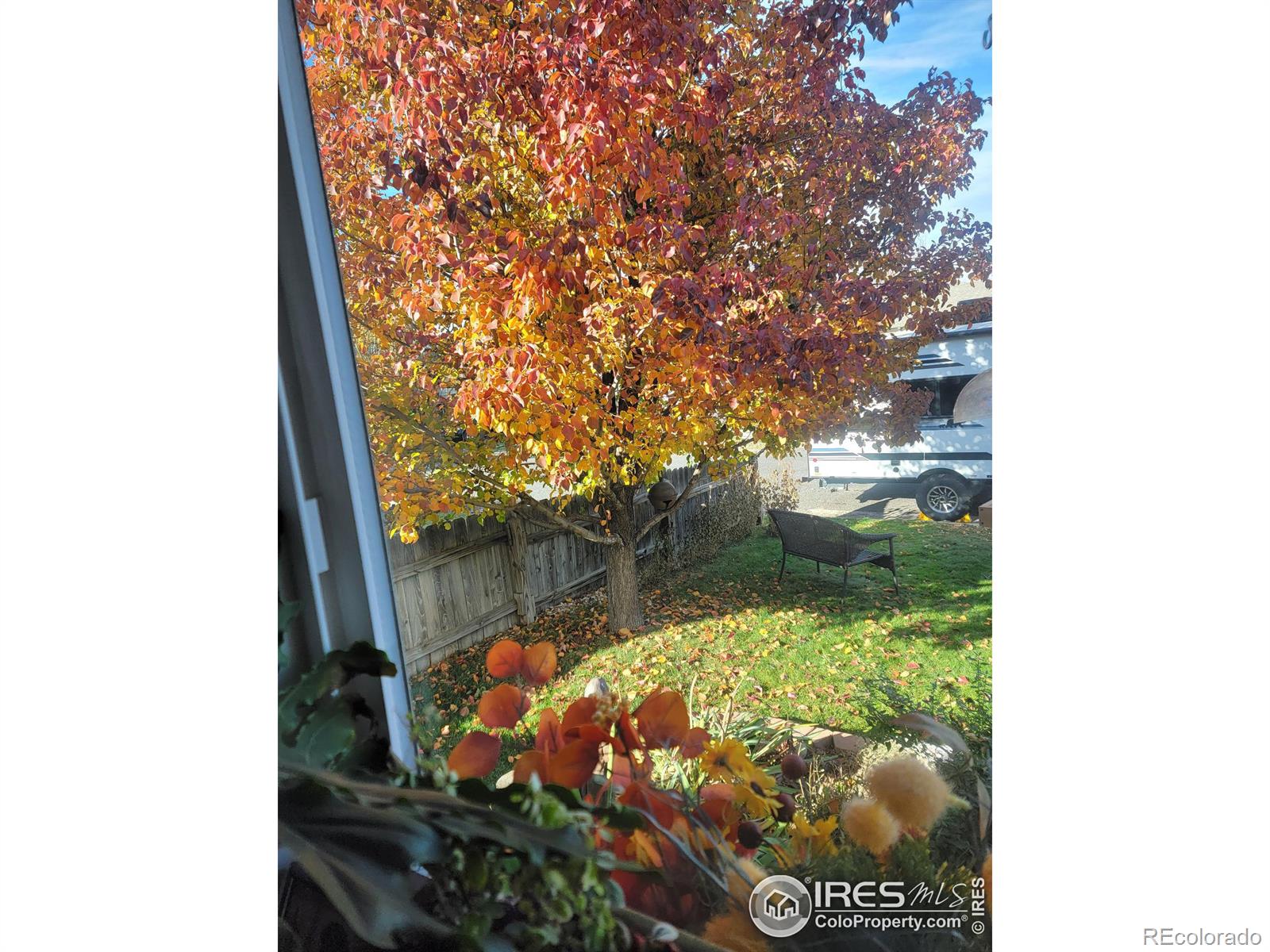 MLS Image #29 for 4429  julian court,fort collins, Colorado