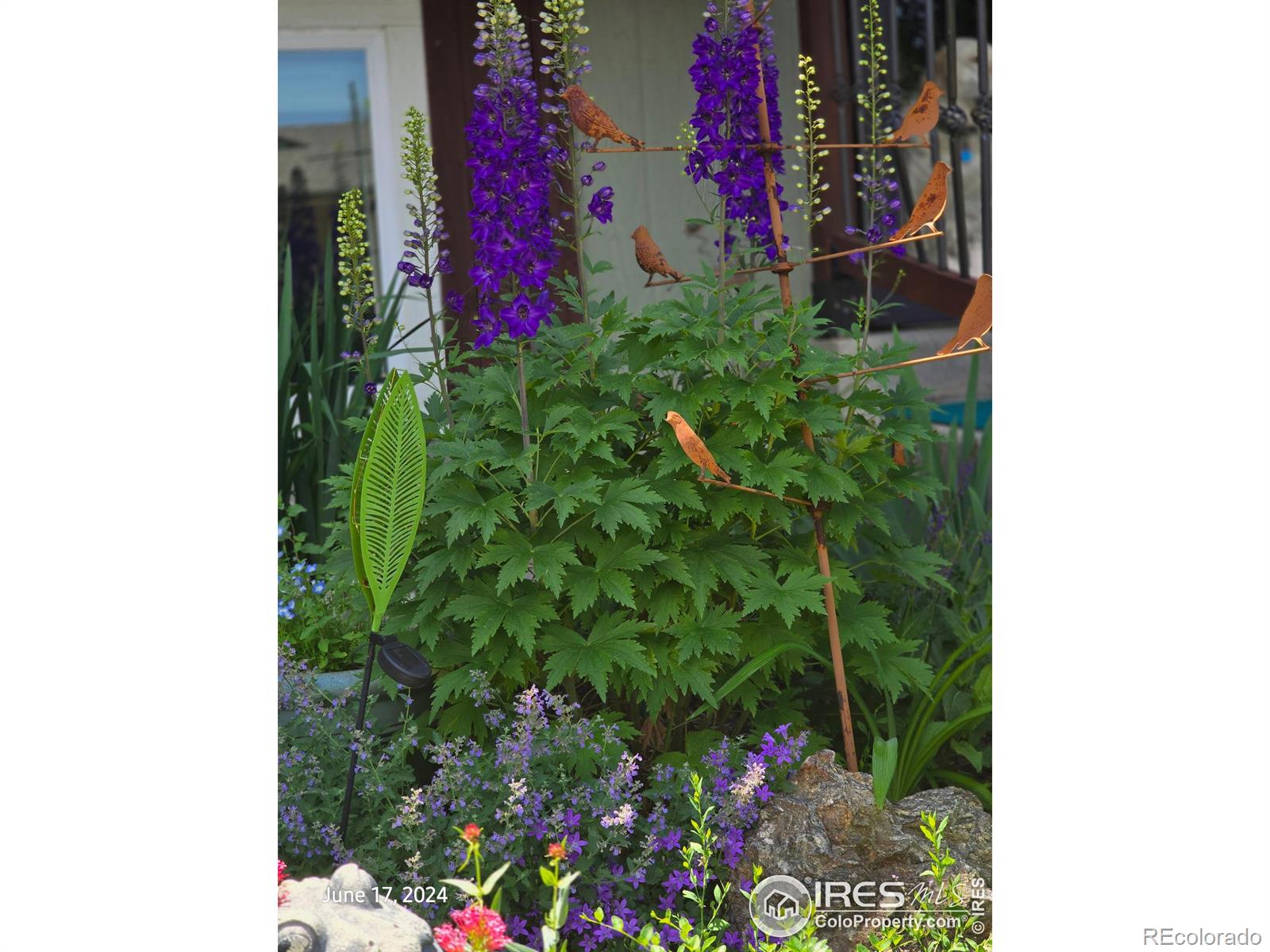MLS Image #30 for 4429  julian court,fort collins, Colorado
