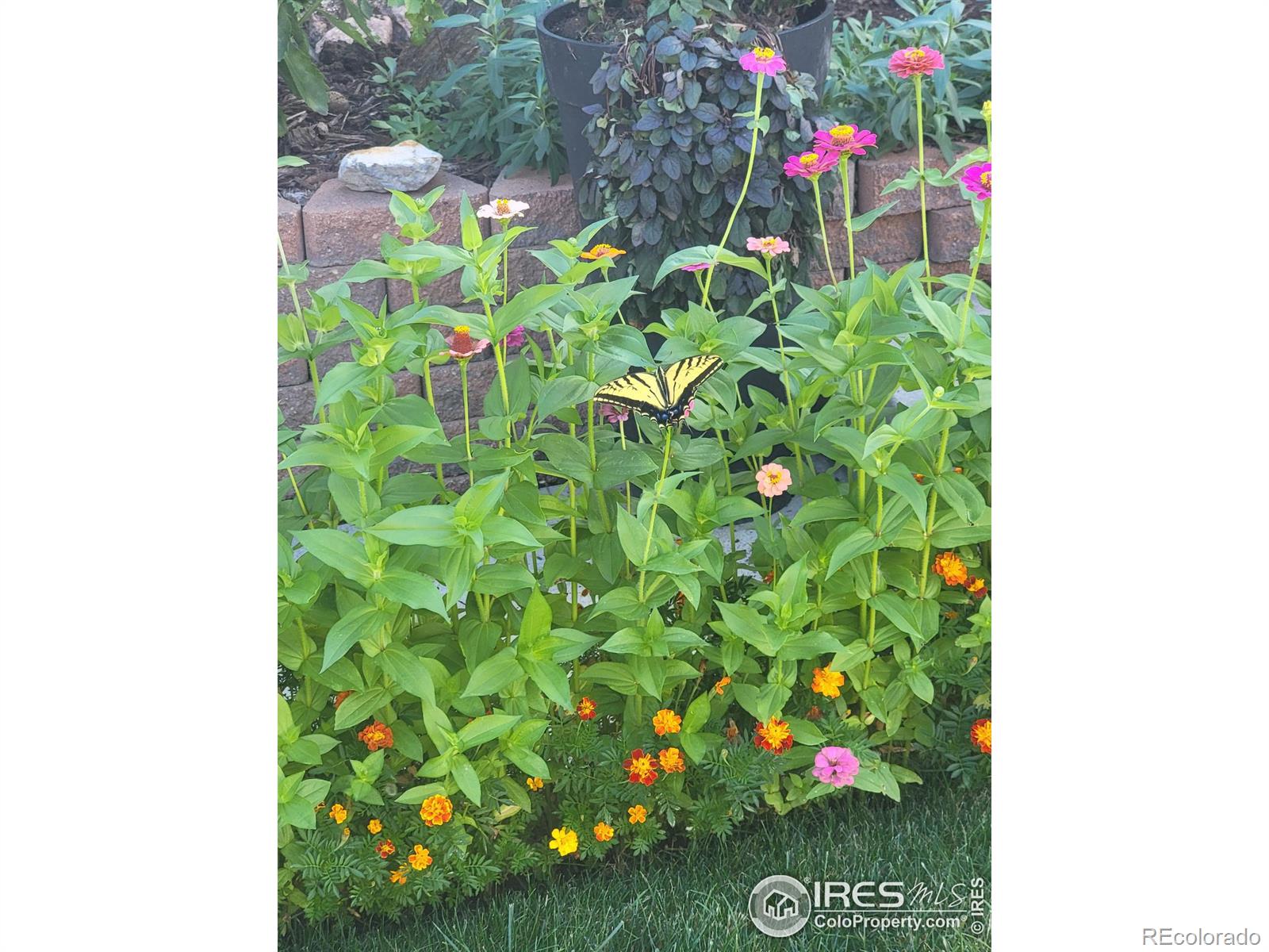 MLS Image #34 for 4429  julian court,fort collins, Colorado