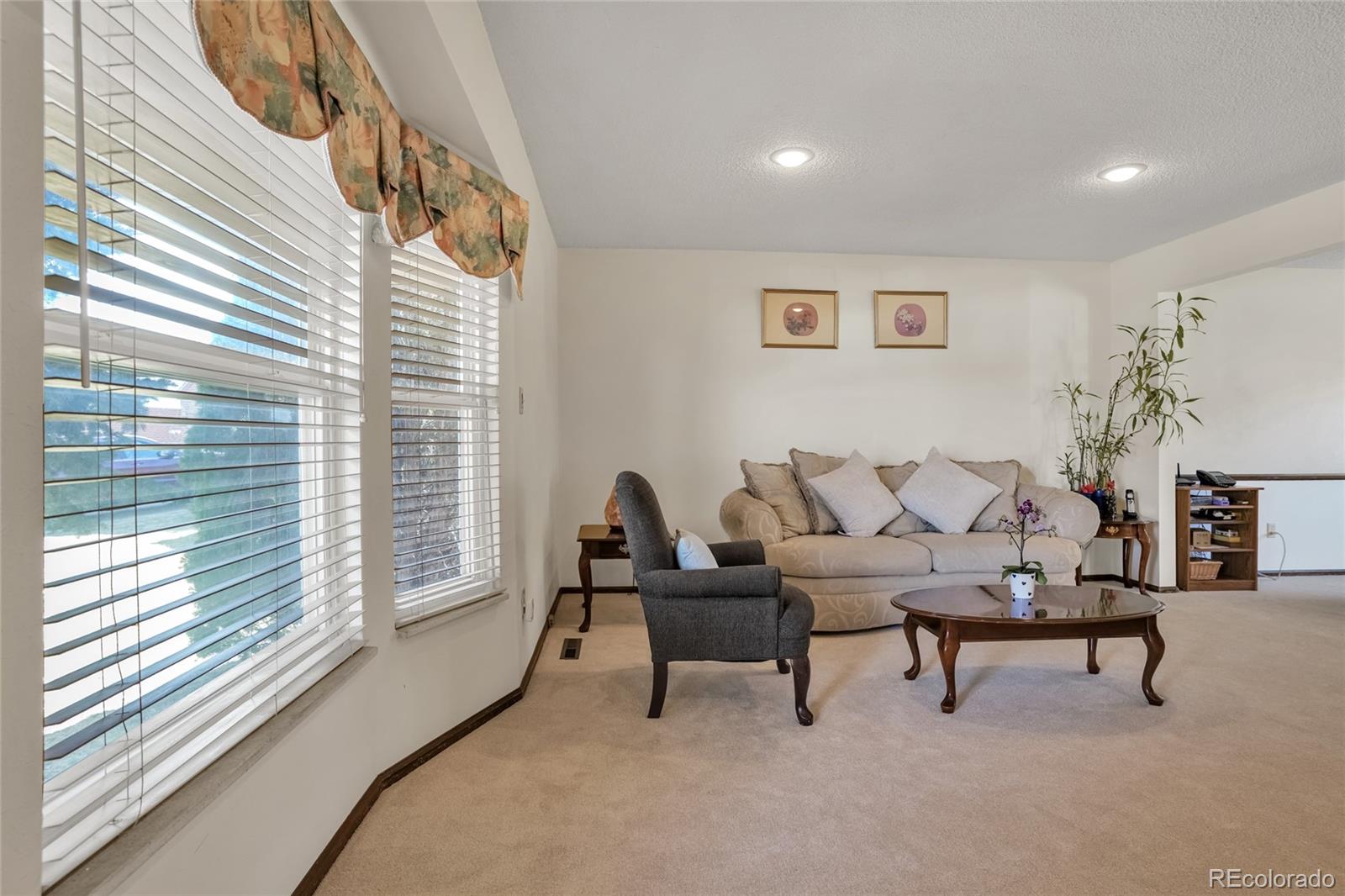 MLS Image #2 for 8179 s corona way,centennial, Colorado