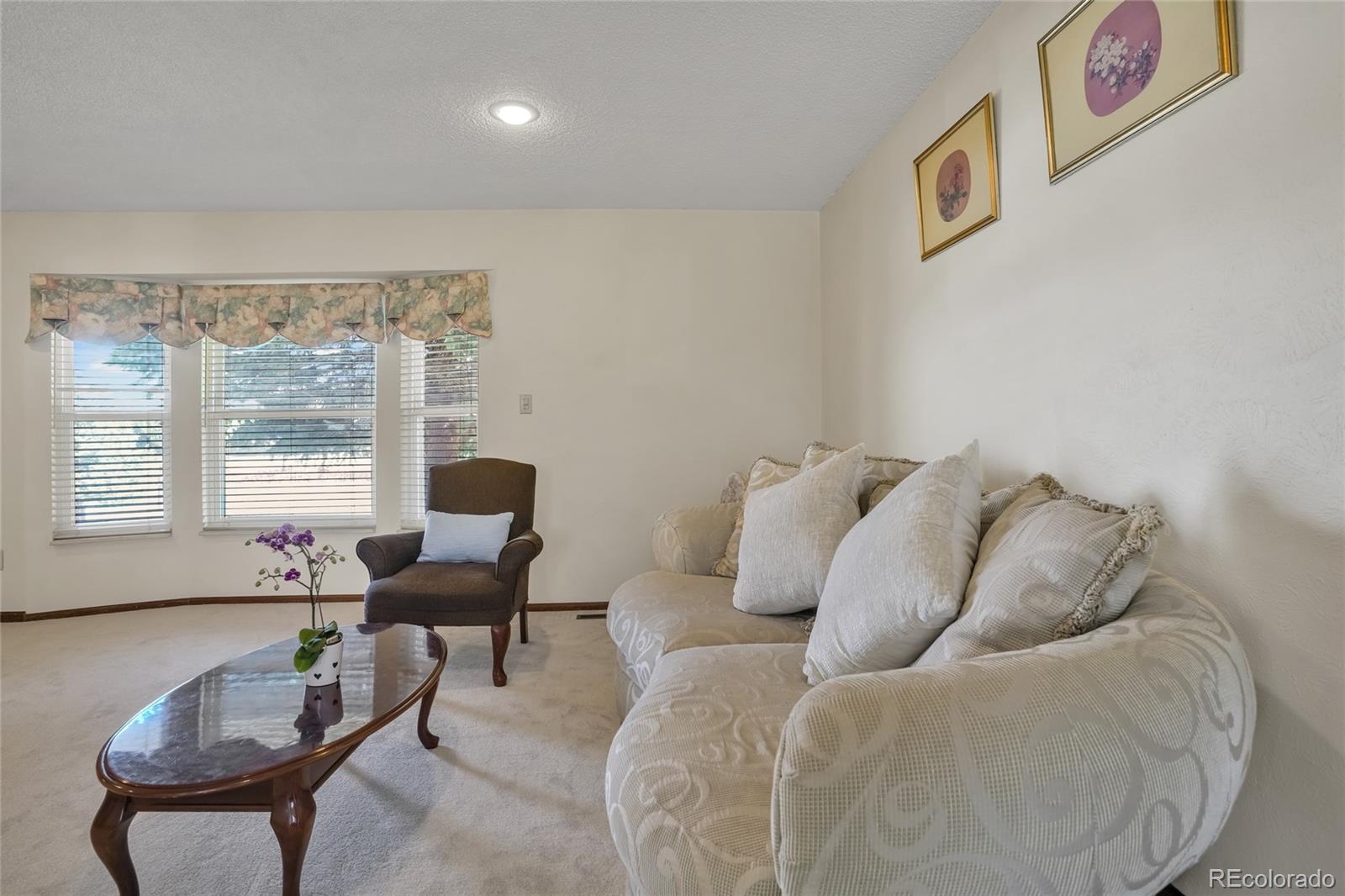 MLS Image #3 for 8179 s corona way,centennial, Colorado