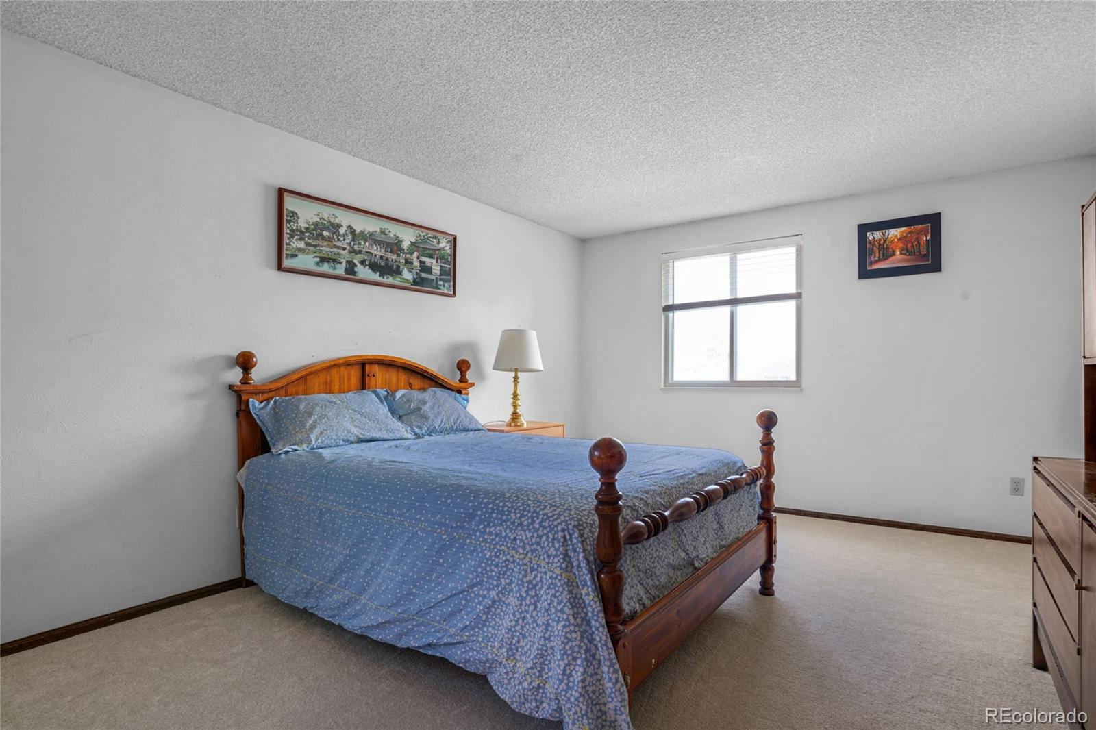 MLS Image #32 for 8179 s corona way,centennial, Colorado
