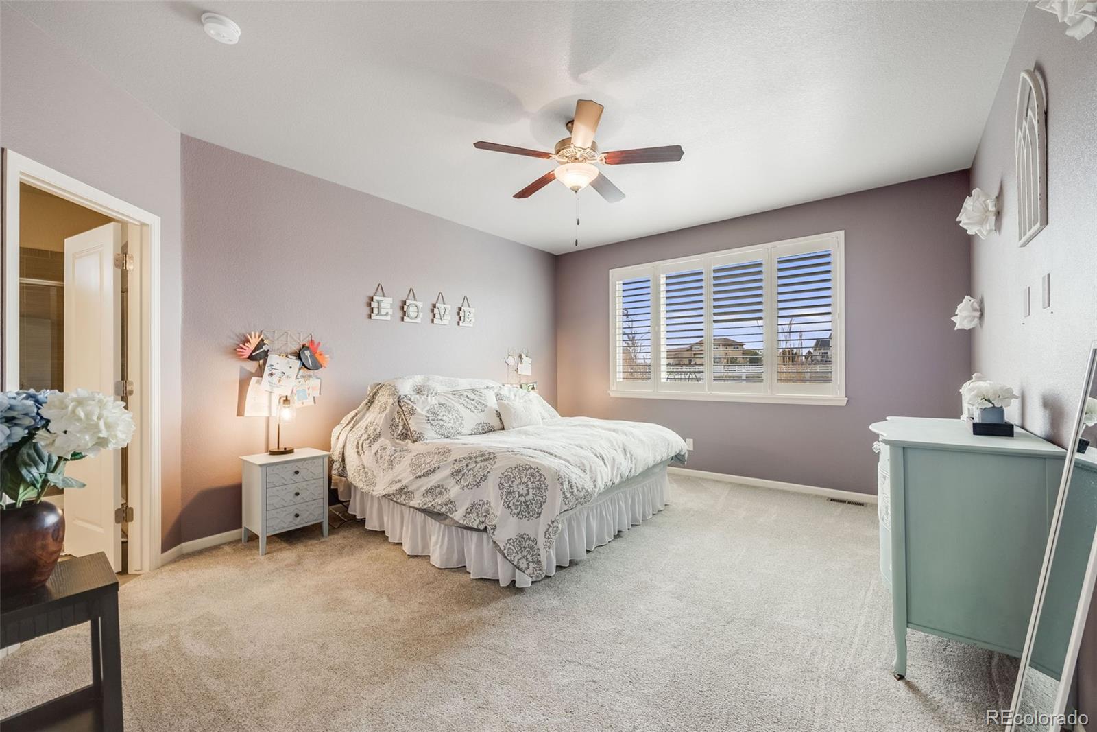 MLS Image #22 for 10882 e 162nd place,brighton, Colorado