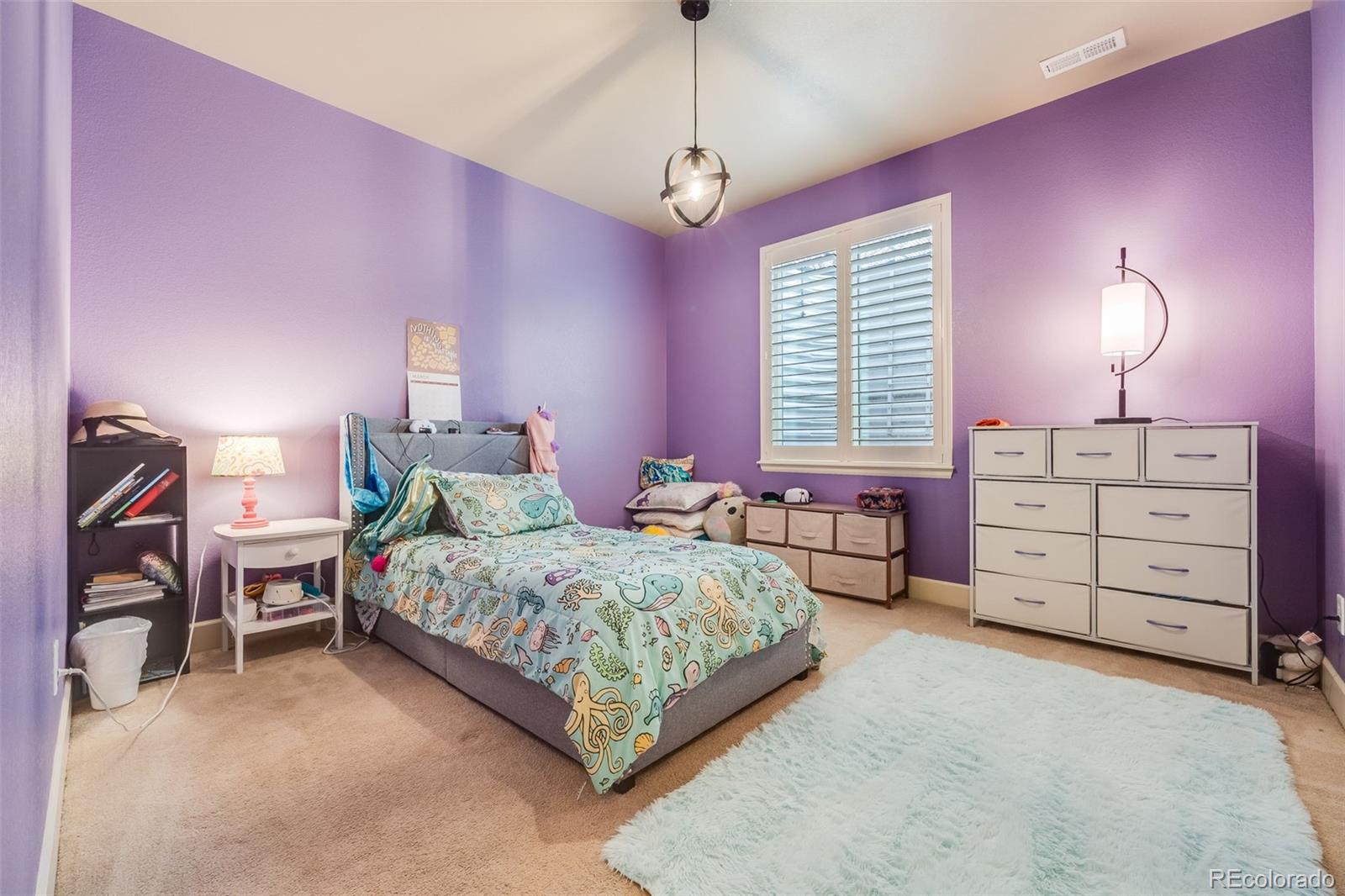 MLS Image #32 for 10882 e 162nd place,brighton, Colorado