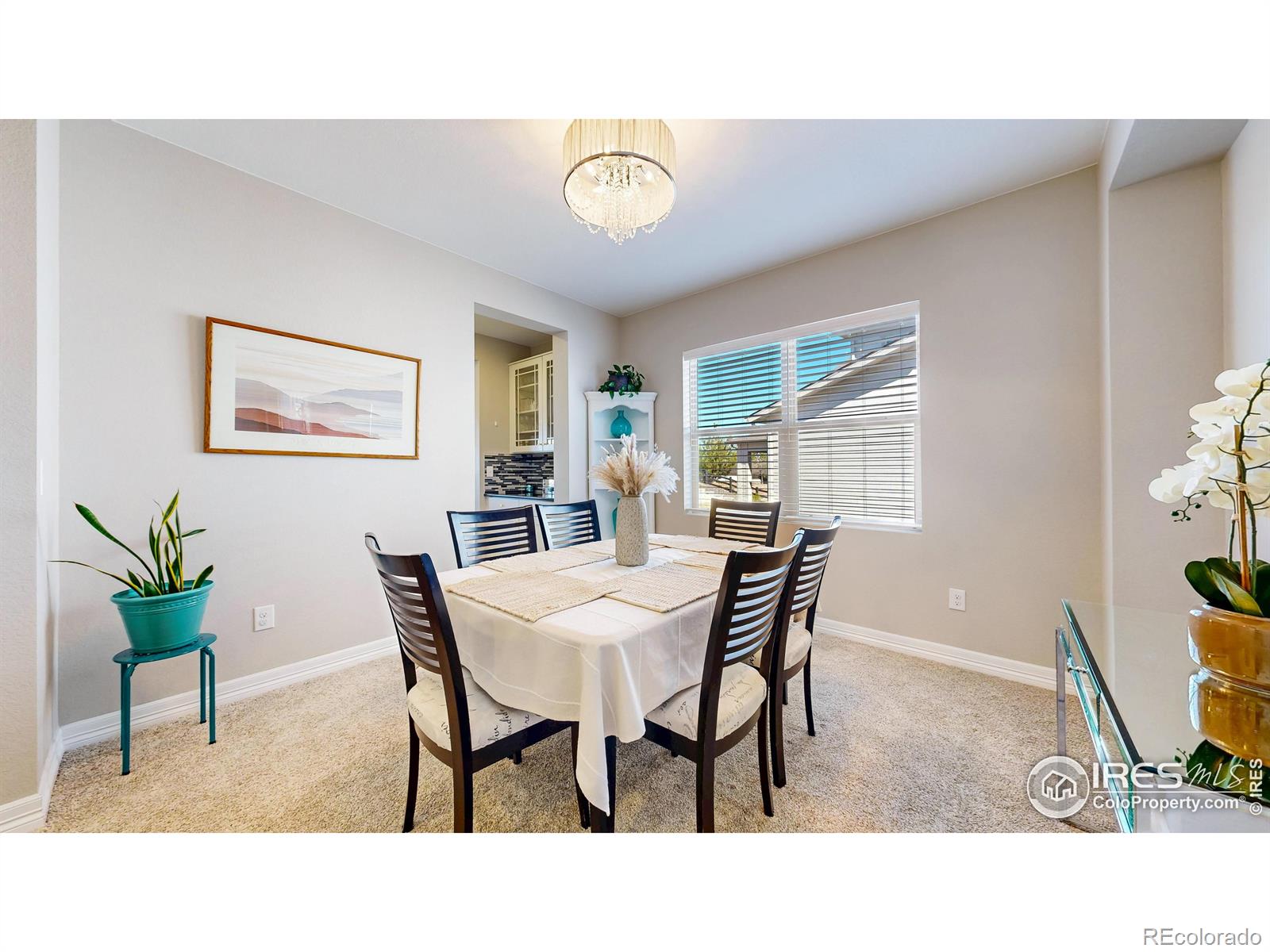 MLS Image #8 for 11829  deorio street,parker, Colorado