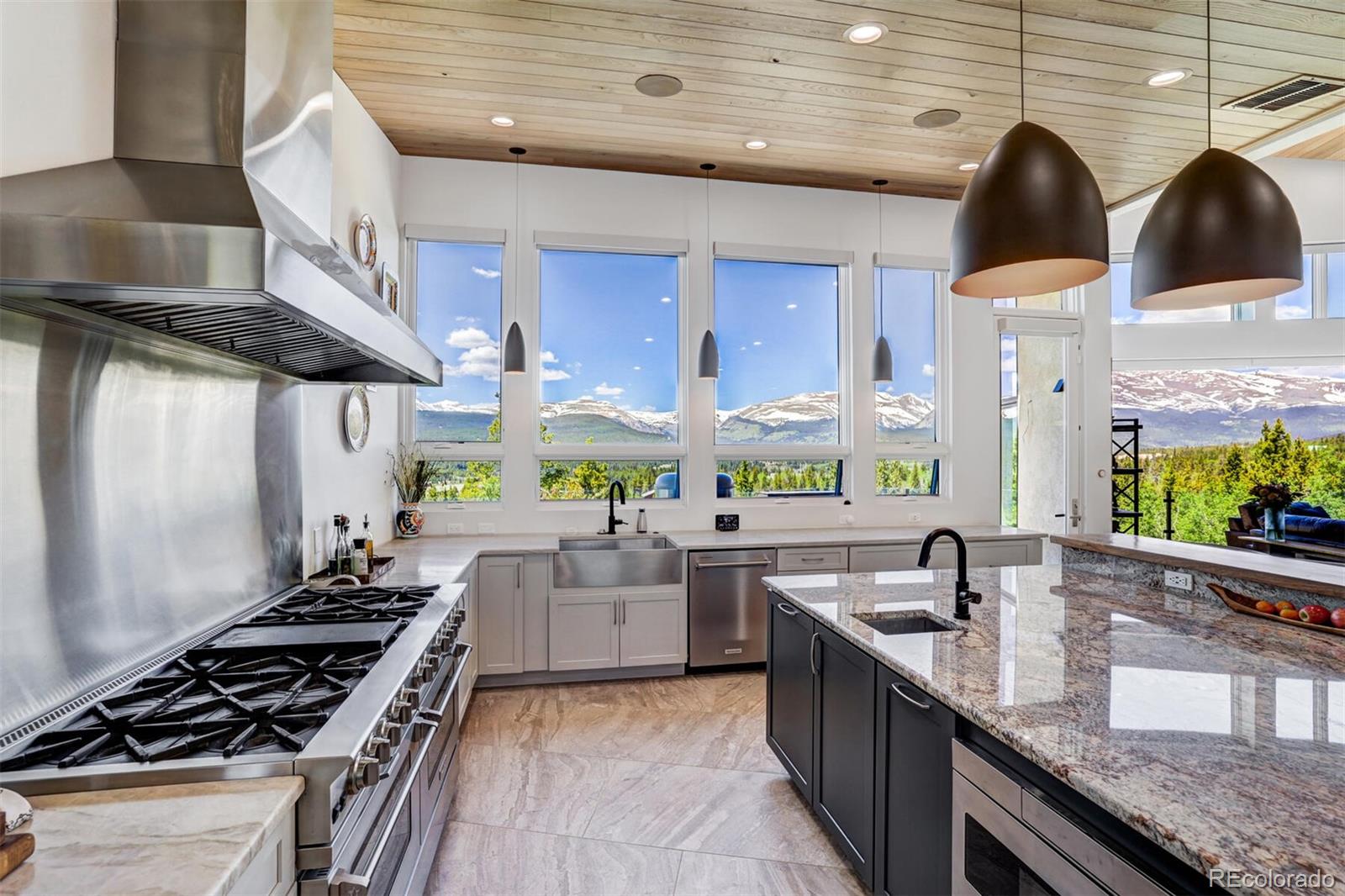 MLS Image #10 for 1453  ponderosa road,alma, Colorado