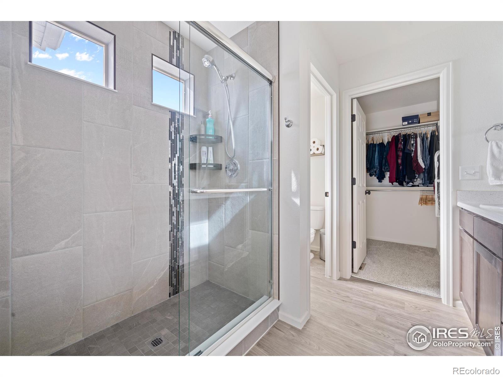 MLS Image #17 for 3500  valleywood court,johnstown, Colorado