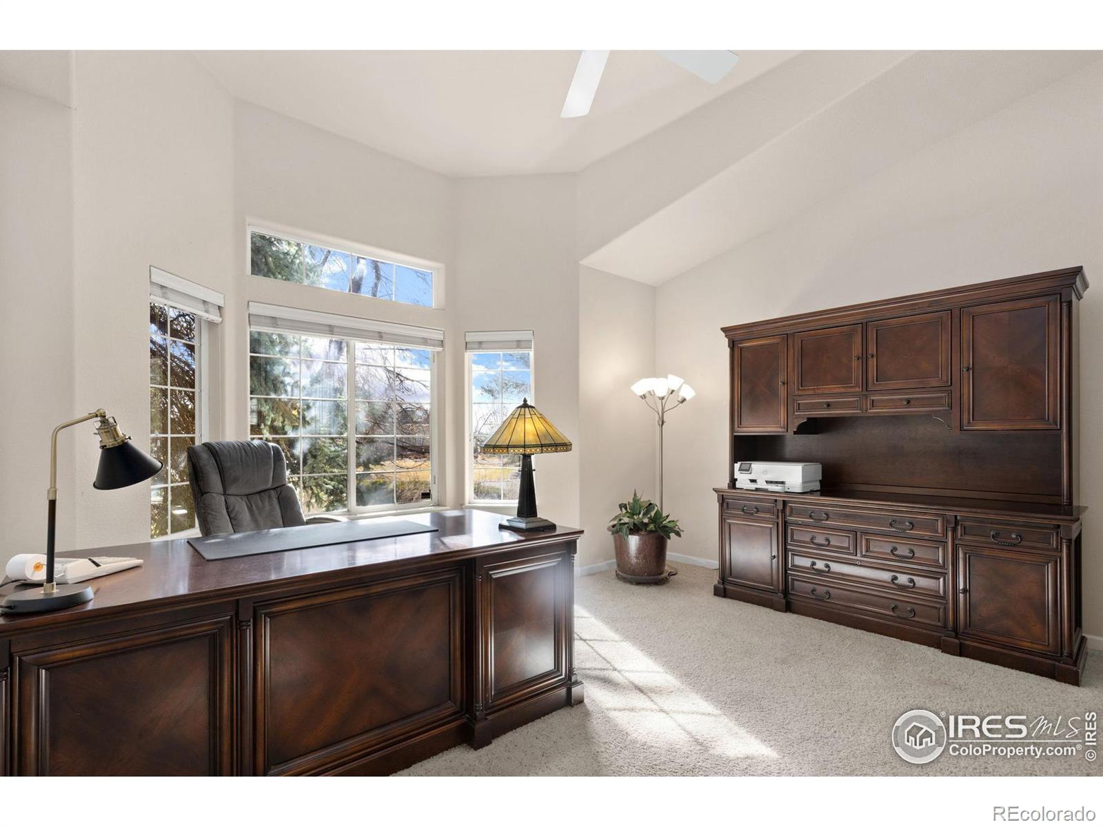 MLS Image #13 for 109  blue heron court,mead, Colorado