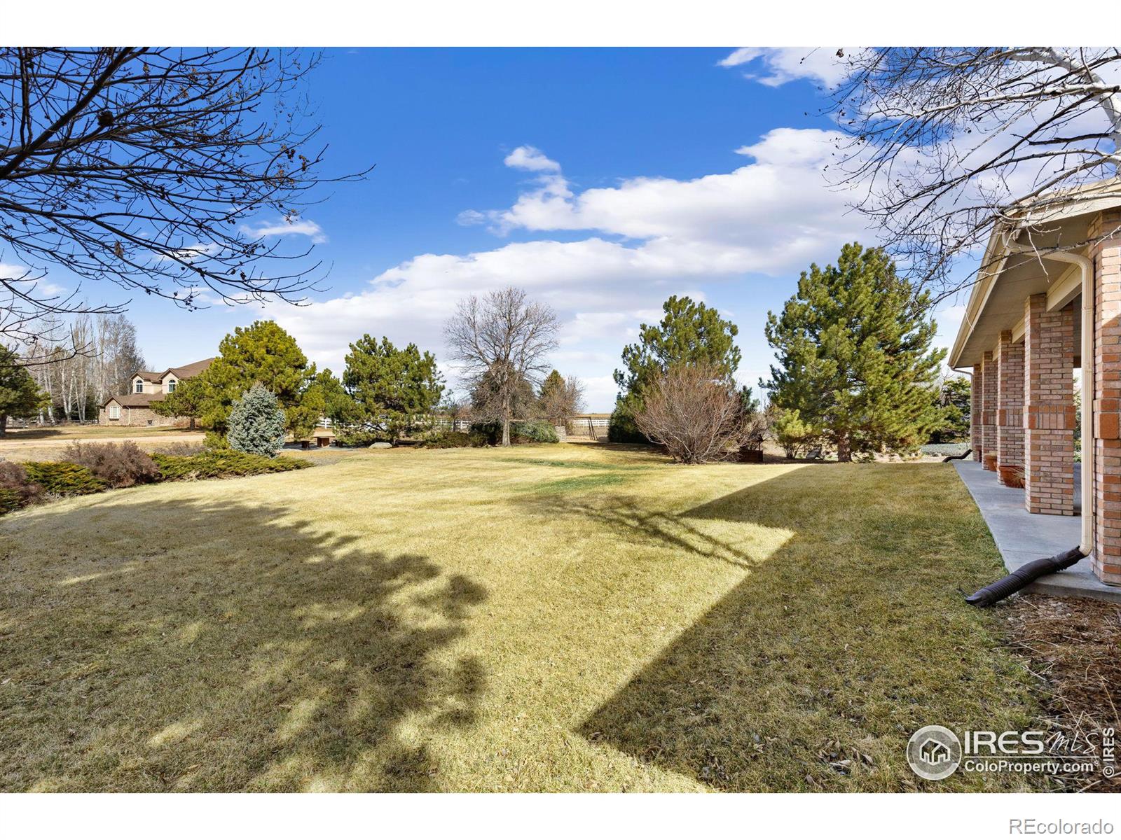 MLS Image #23 for 109  blue heron court,mead, Colorado