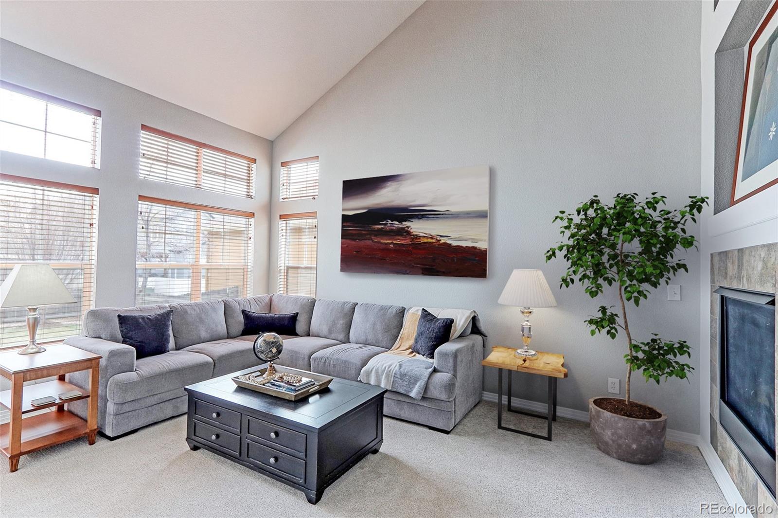 MLS Image #7 for 14214  lakeview lane,broomfield, Colorado
