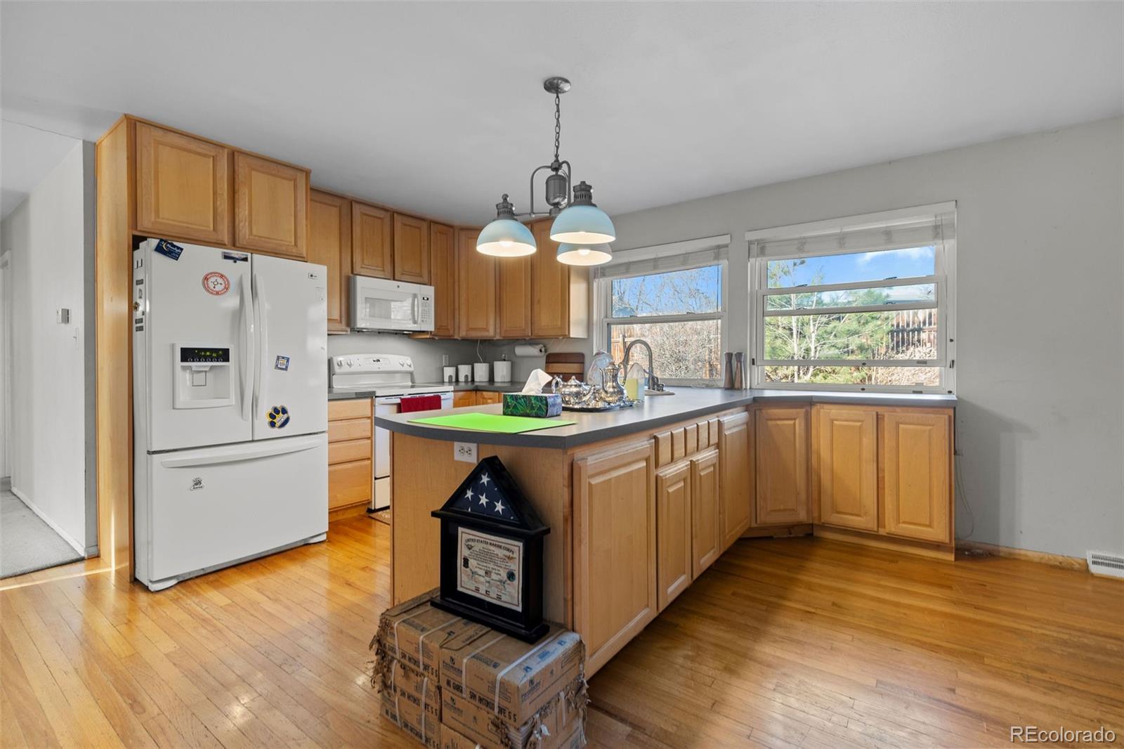 MLS Image #1 for 93 s field street,lakewood, Colorado