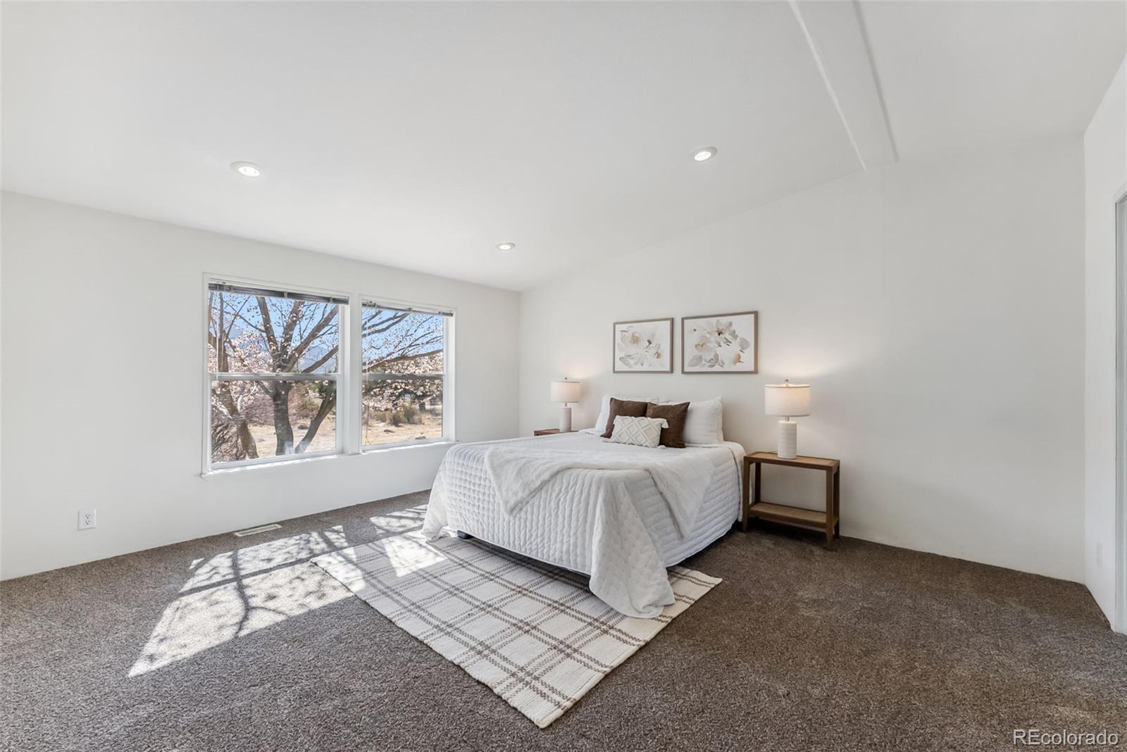 MLS Image #13 for 29955  county road 371 ,buena vista, Colorado