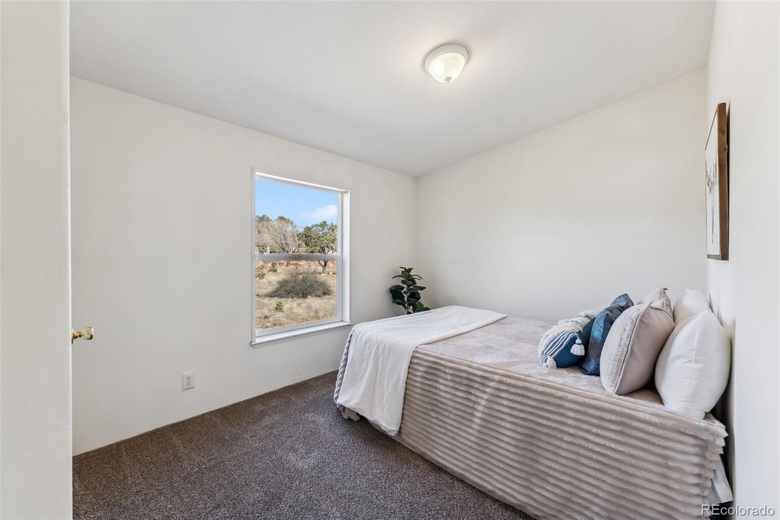 MLS Image #18 for 29955  county road 371 ,buena vista, Colorado