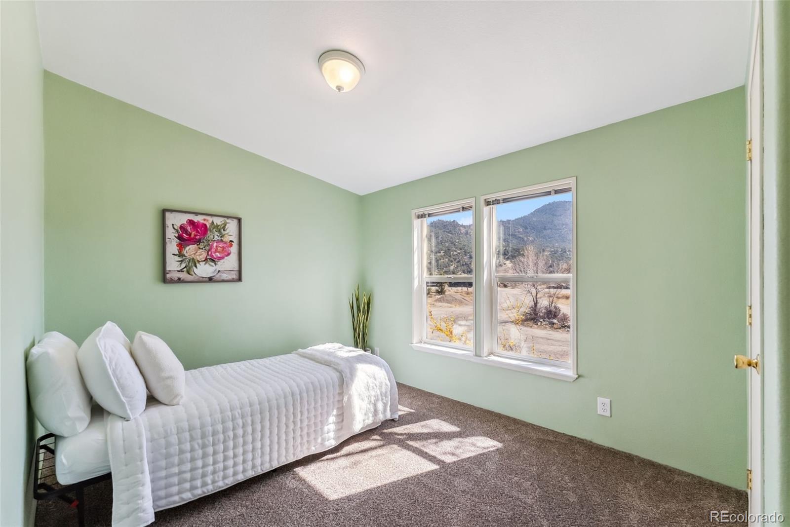 MLS Image #21 for 29955  county road 371 ,buena vista, Colorado