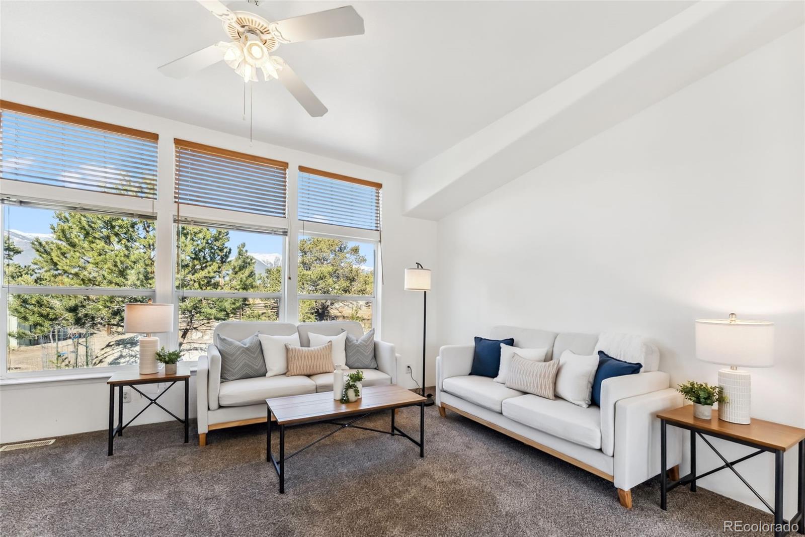 MLS Image #3 for 29955  county road 371 ,buena vista, Colorado