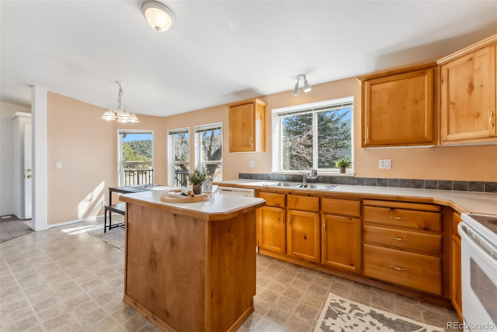 MLS Image #7 for 29955  county road 371 ,buena vista, Colorado
