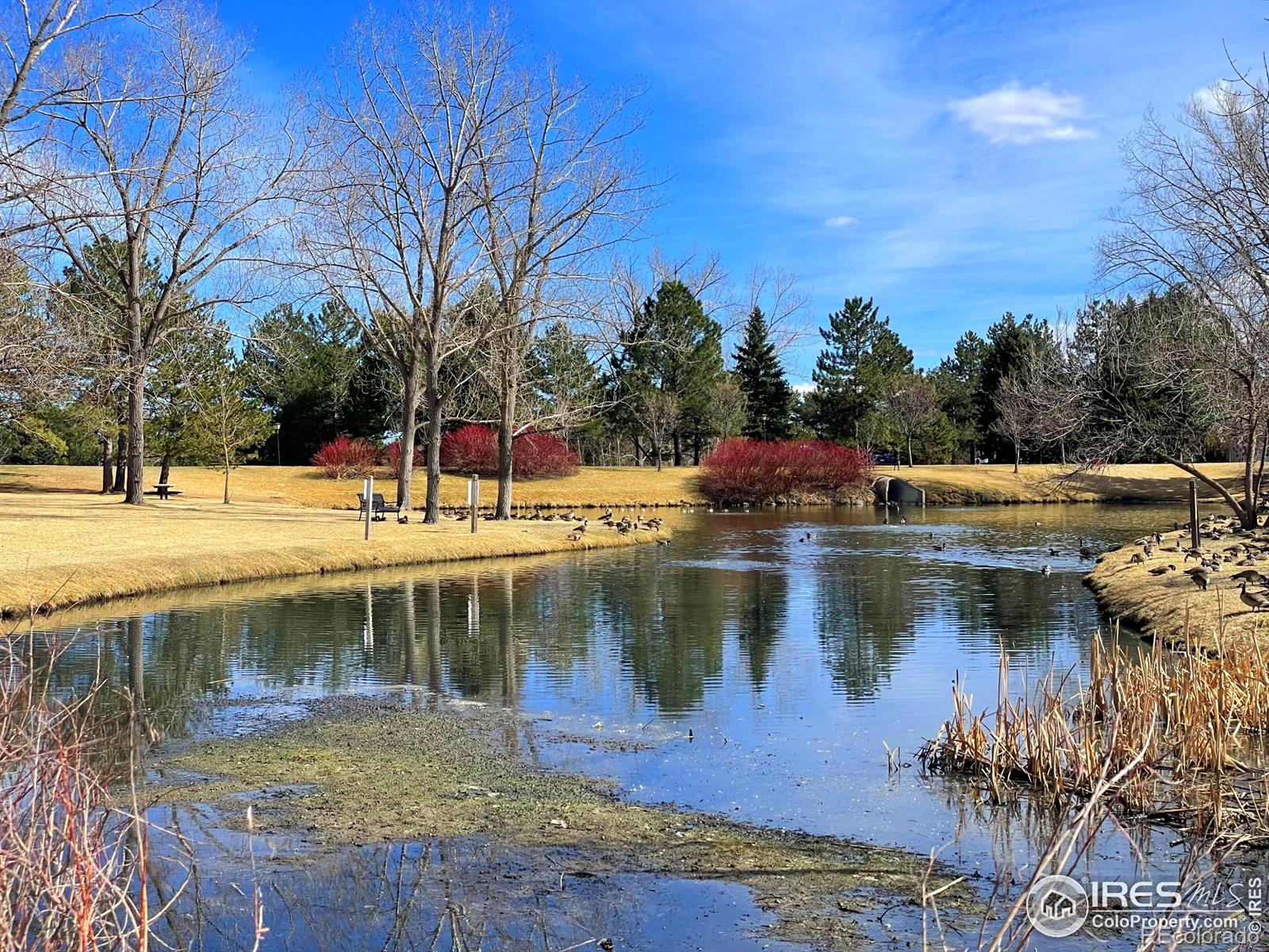 MLS Image #28 for 10895 w half moon pass,littleton, Colorado