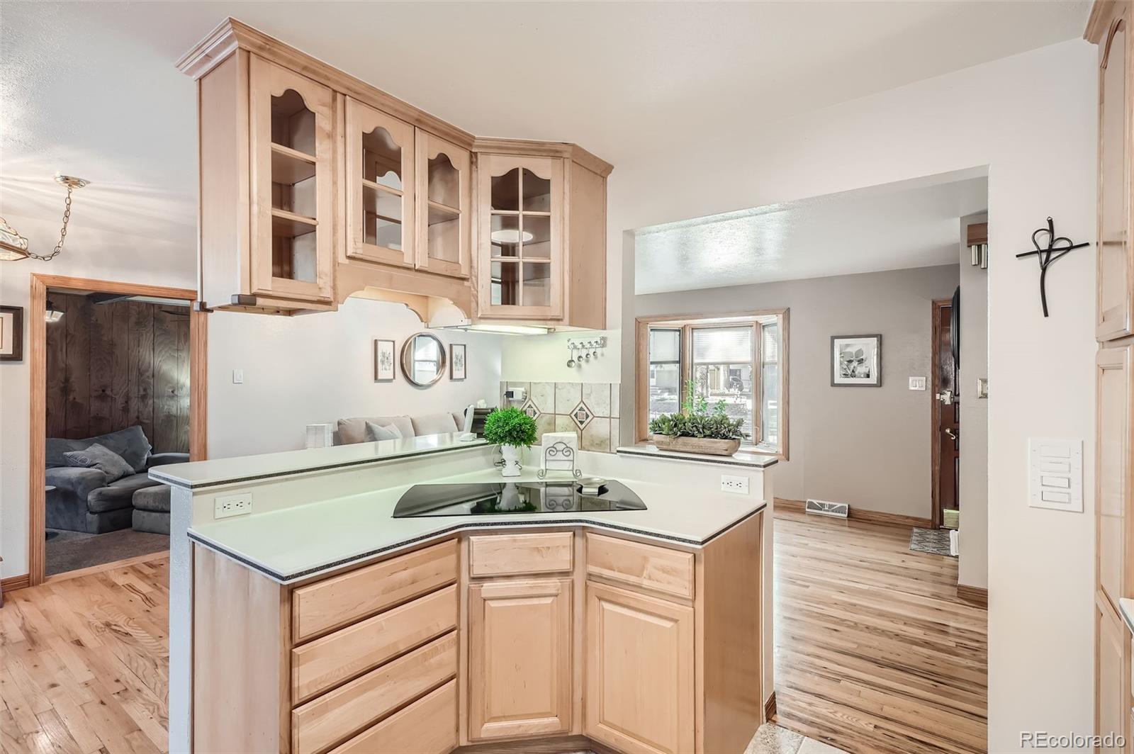 MLS Image #10 for 975 s queen way,lakewood, Colorado