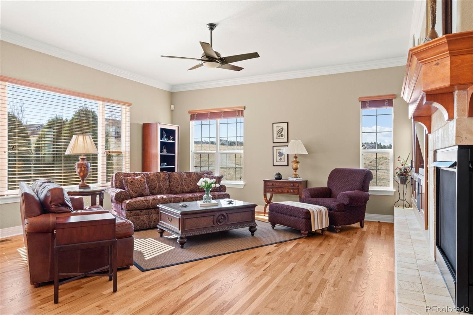 MLS Image #14 for 14958  wistera way,broomfield, Colorado