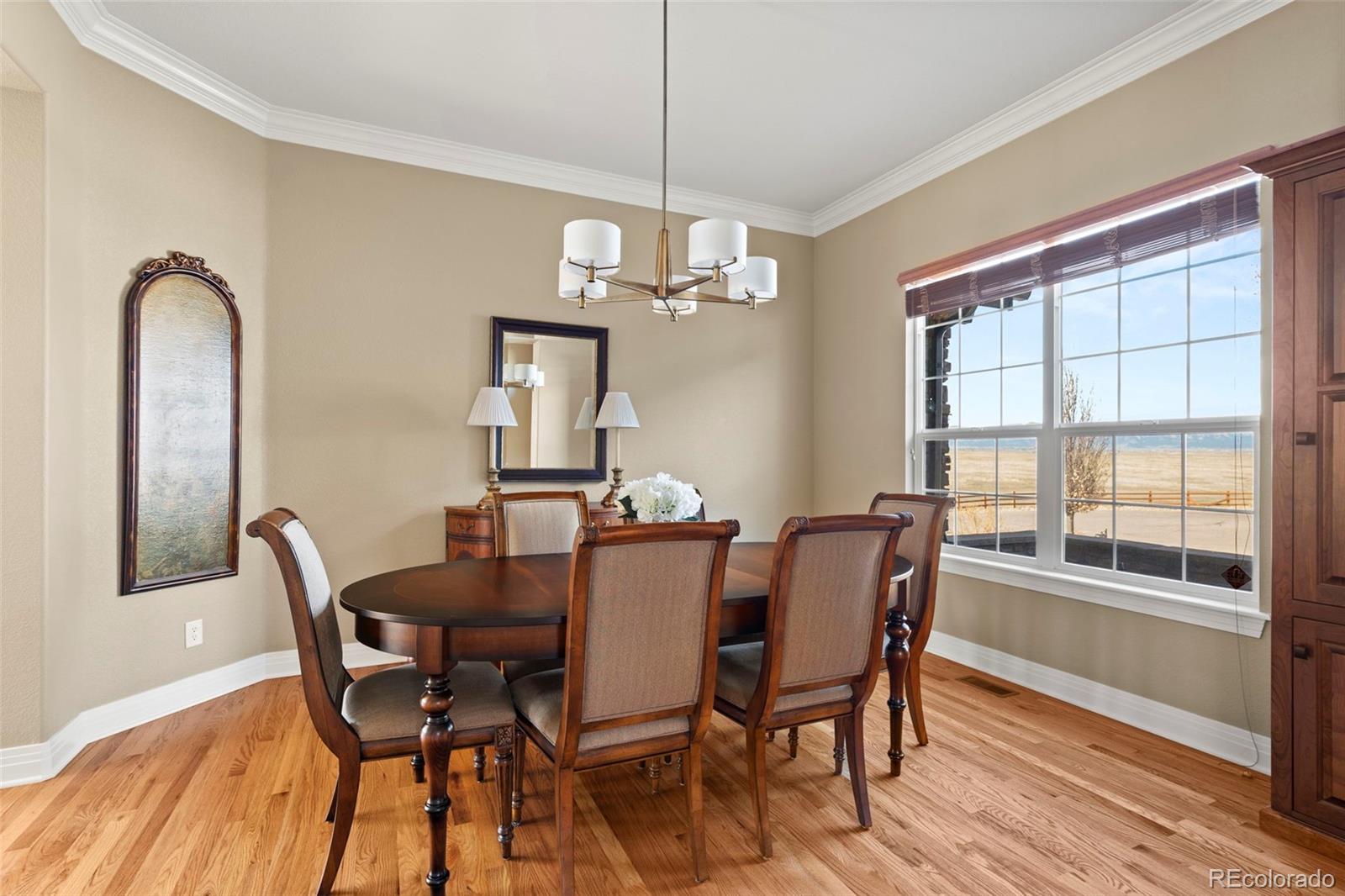 MLS Image #17 for 14958  wistera way,broomfield, Colorado