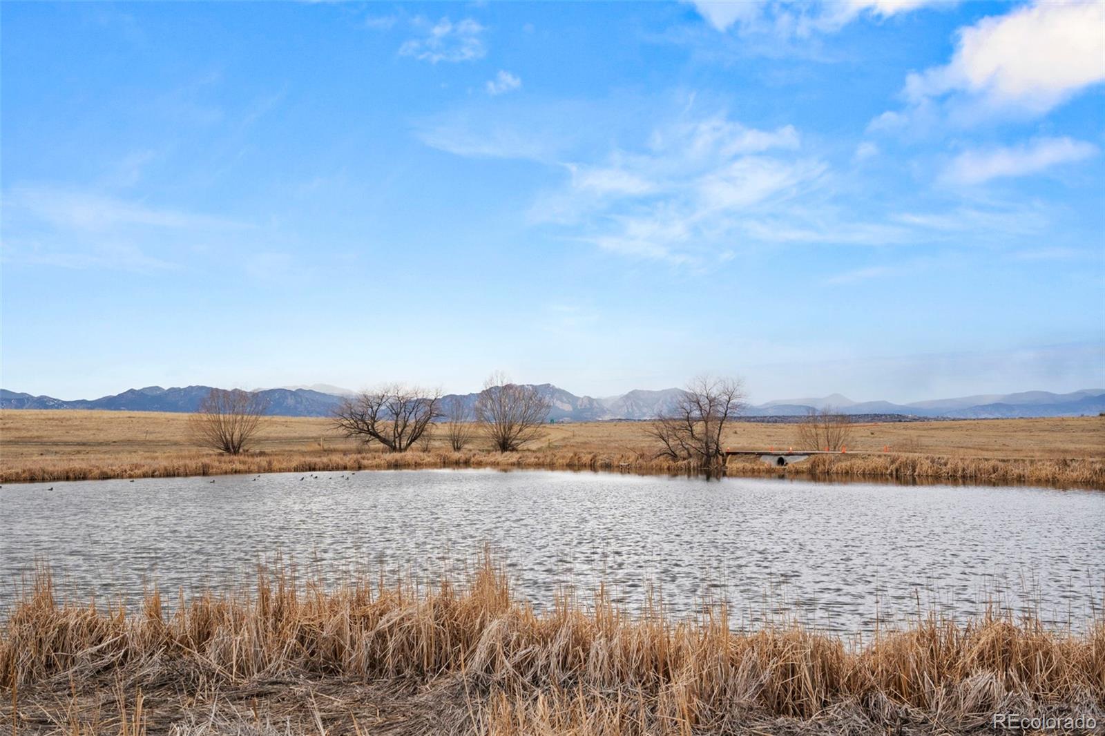 MLS Image #46 for 14958  wistera way,broomfield, Colorado