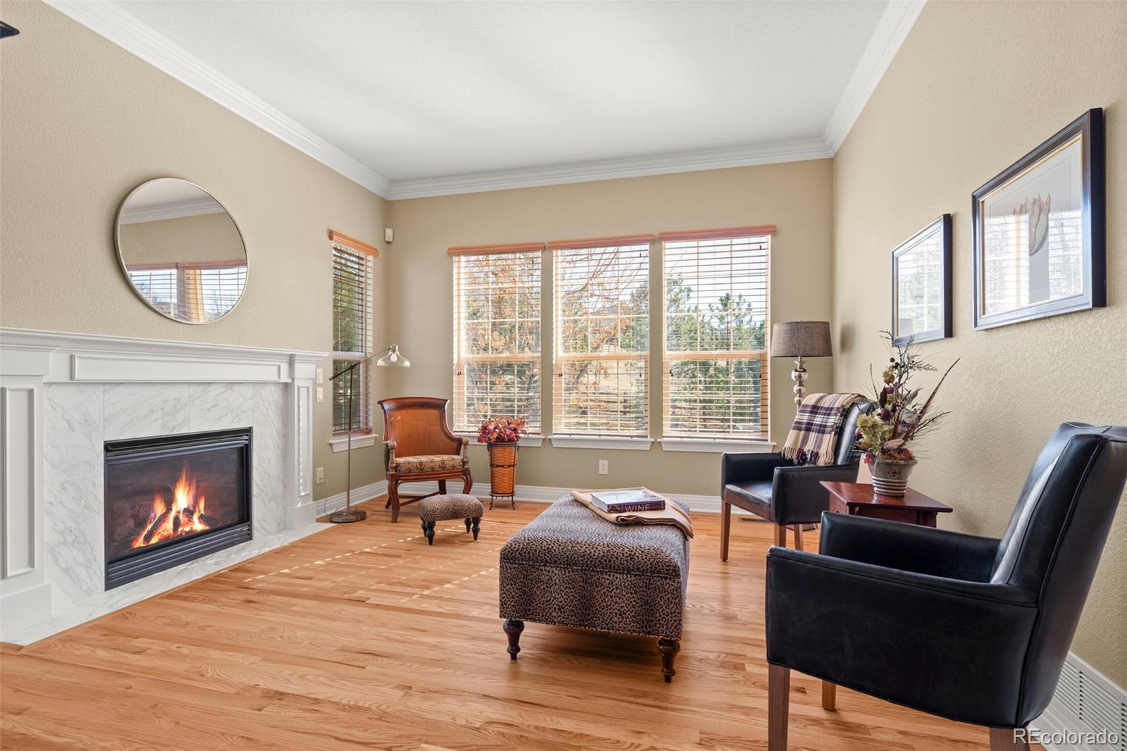 MLS Image #7 for 14958  wistera way,broomfield, Colorado