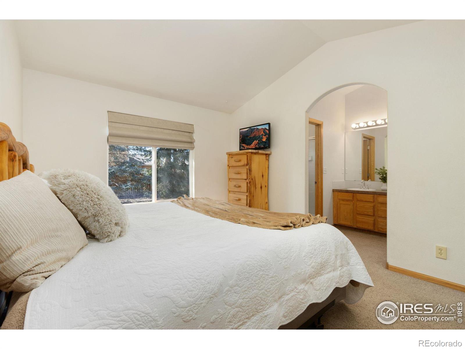 MLS Image #17 for 8545  citation drive,wellington, Colorado