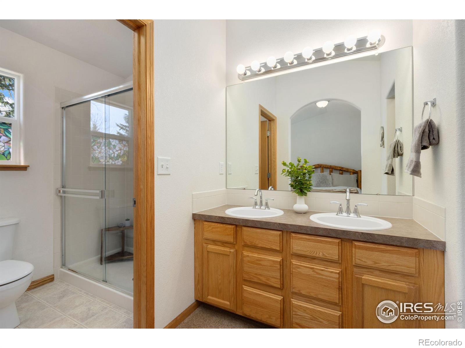 MLS Image #18 for 8545  citation drive,wellington, Colorado