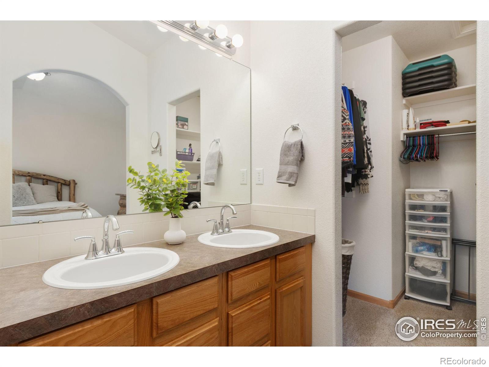 MLS Image #19 for 8545  citation drive,wellington, Colorado