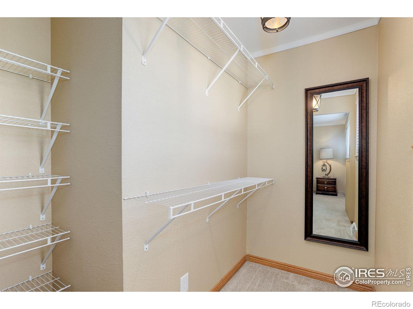 MLS Image #21 for 9852  zephyr drive,broomfield, Colorado