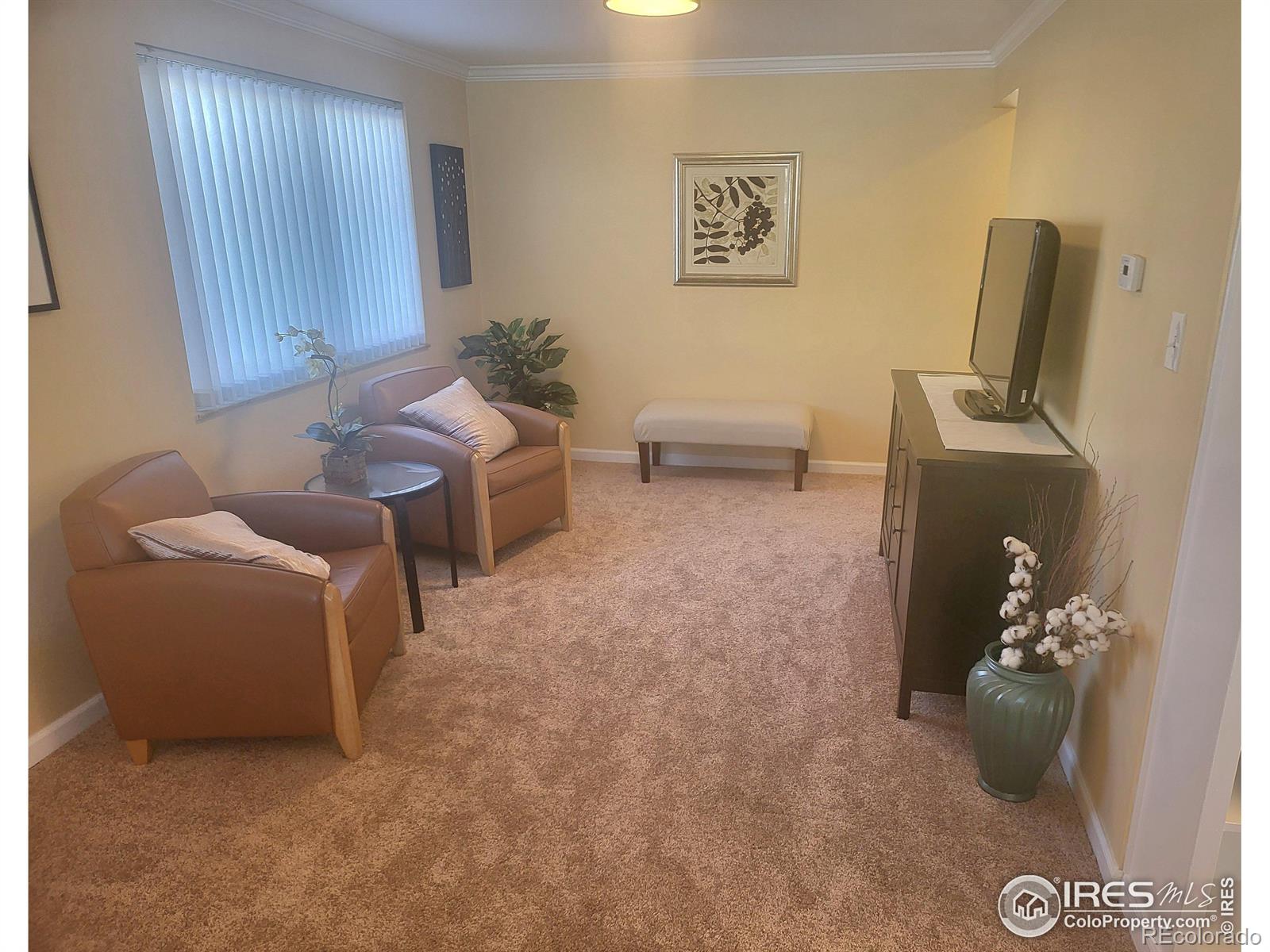 MLS Image #14 for 7624 s race street,centennial, Colorado