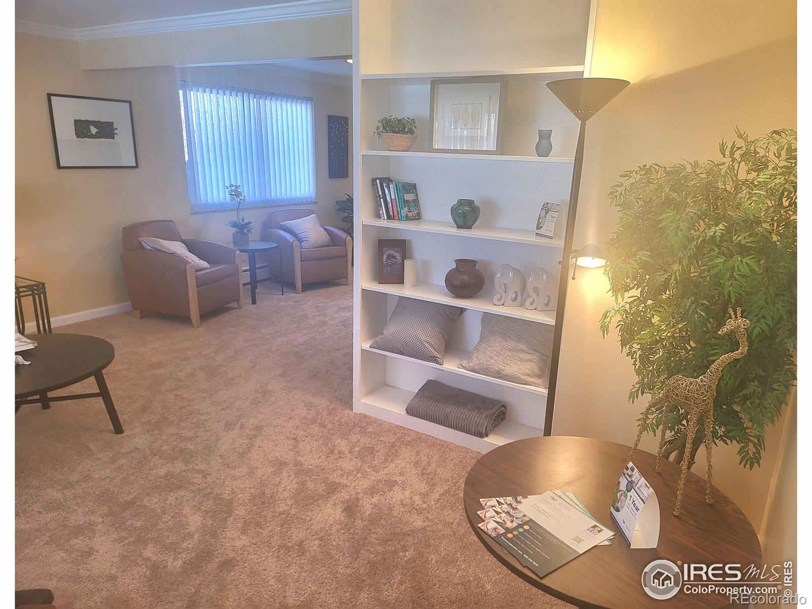 MLS Image #17 for 7624 s race street,centennial, Colorado