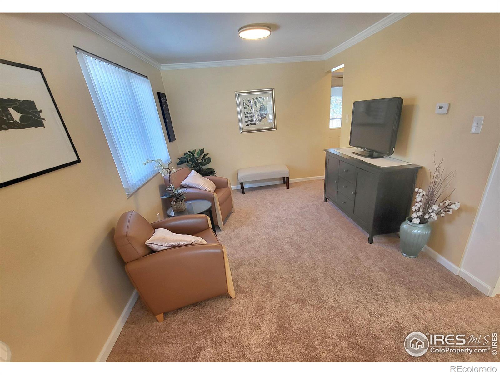 MLS Image #5 for 7624 s race street,centennial, Colorado