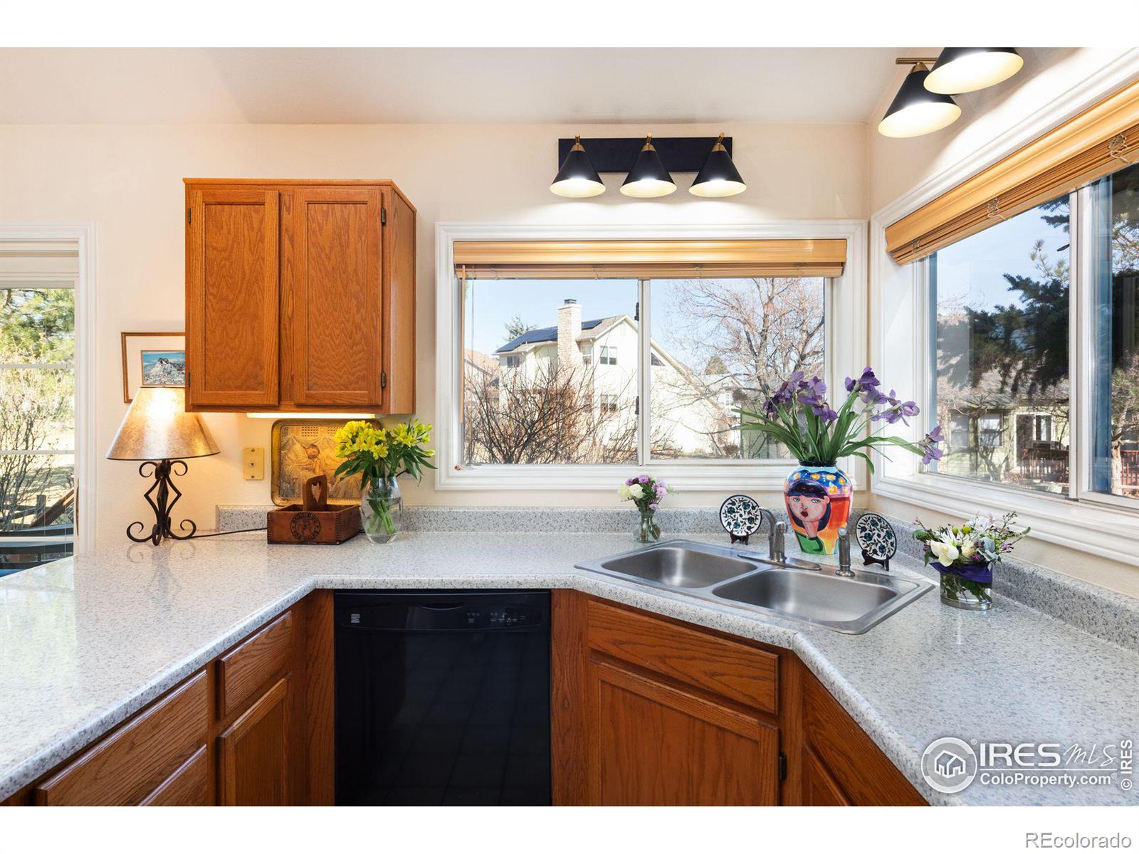 MLS Image #11 for 5565  glendale gulch circle,boulder, Colorado