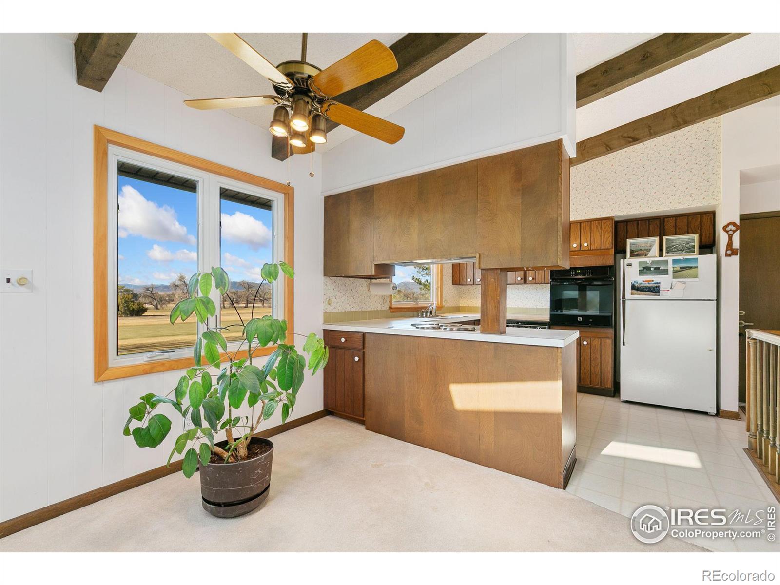 MLS Image #10 for 1501  richards lake road,fort collins, Colorado