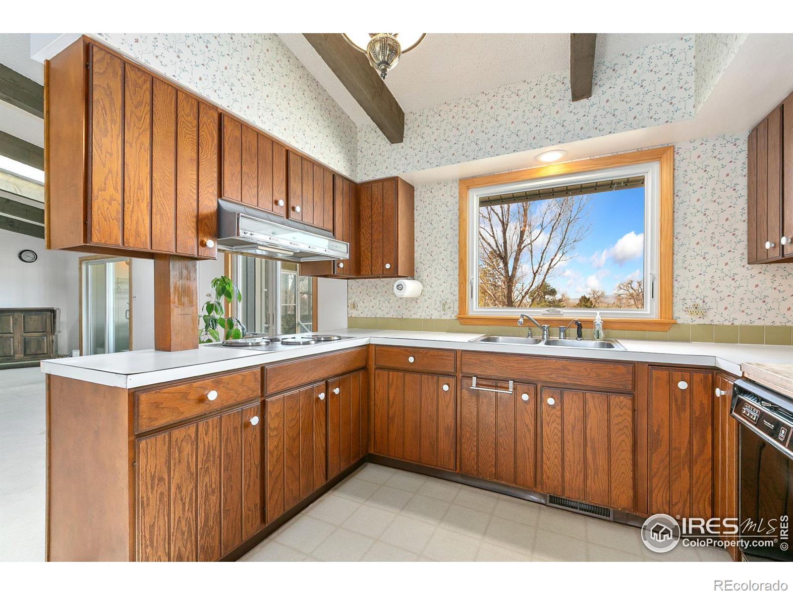 MLS Image #12 for 1501  richards lake road,fort collins, Colorado