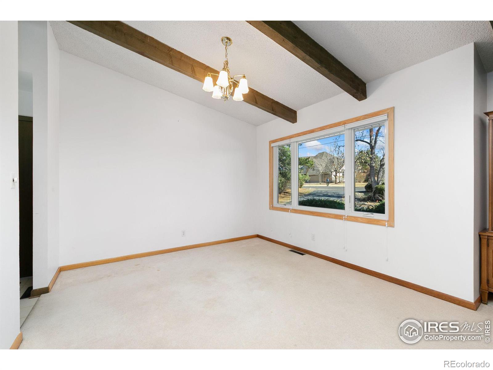MLS Image #8 for 1501  richards lake road,fort collins, Colorado