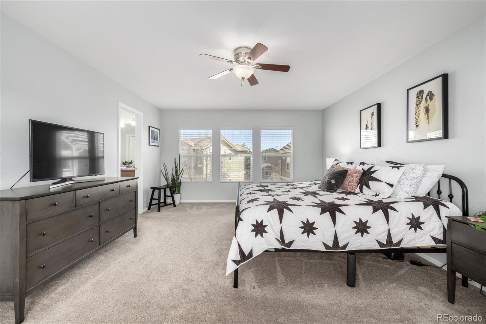 MLS Image #20 for 10120  fenwick street,parker, Colorado