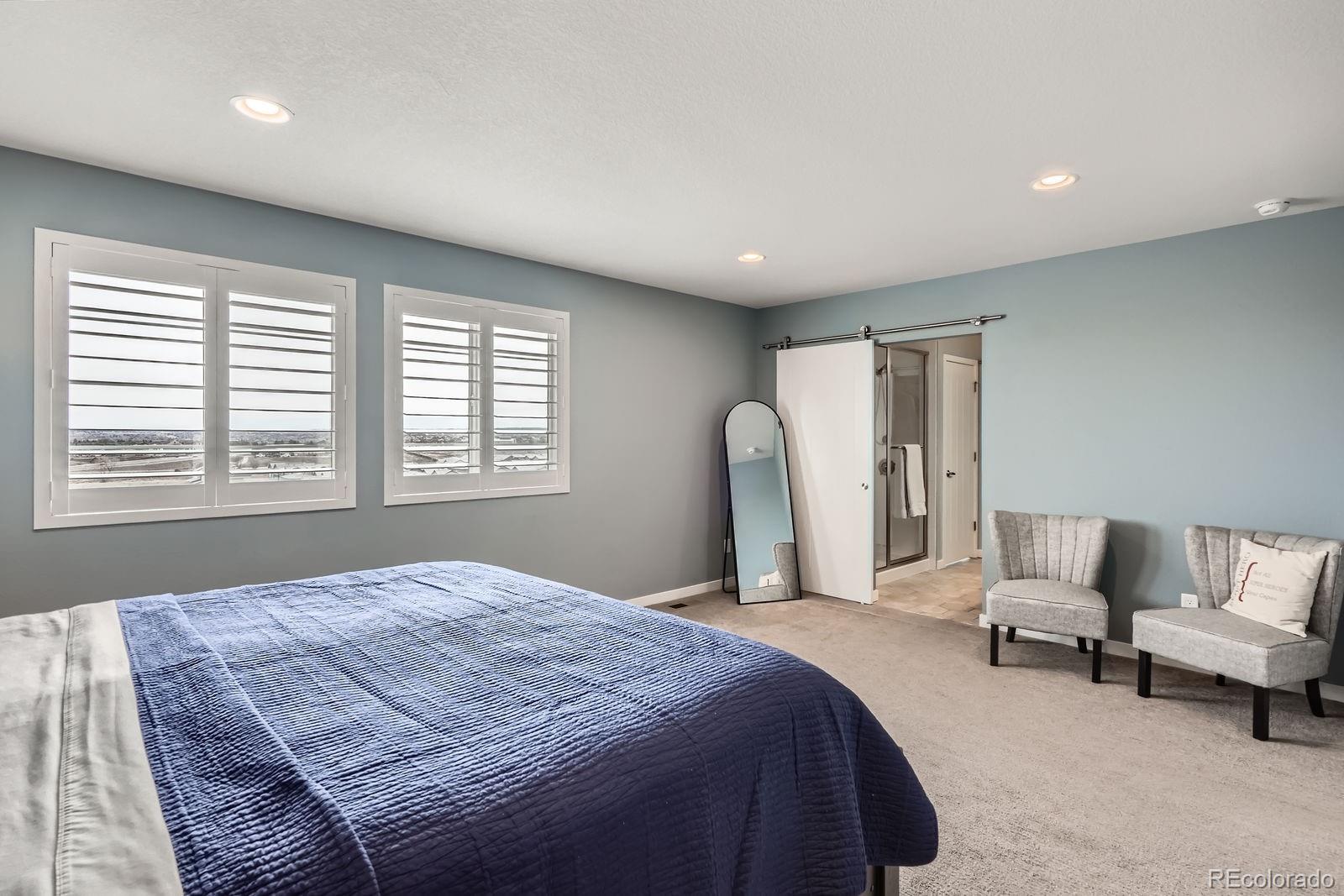 MLS Image #13 for 14734  domino drive,parker, Colorado