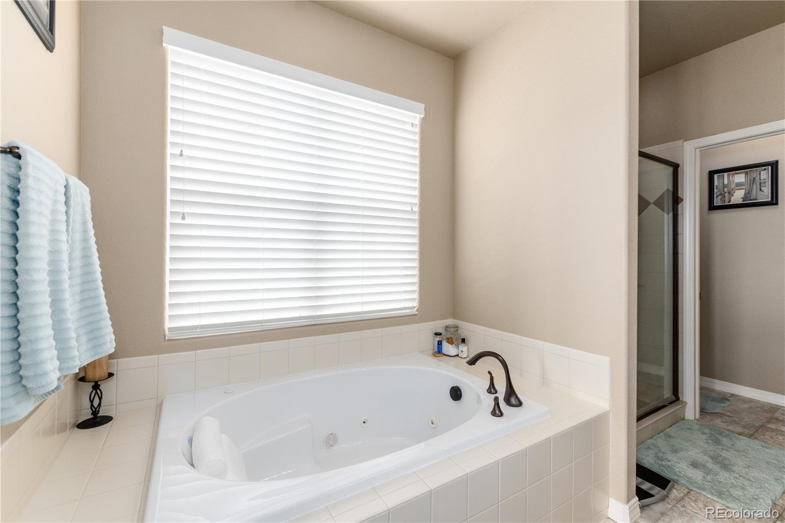 MLS Image #25 for 10458  mt emerald drive,peyton, Colorado