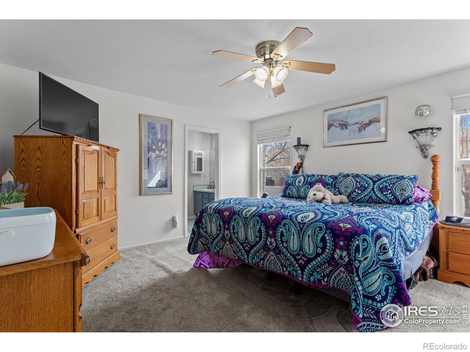 MLS Image #16 for 1904  white ibis court,loveland, Colorado