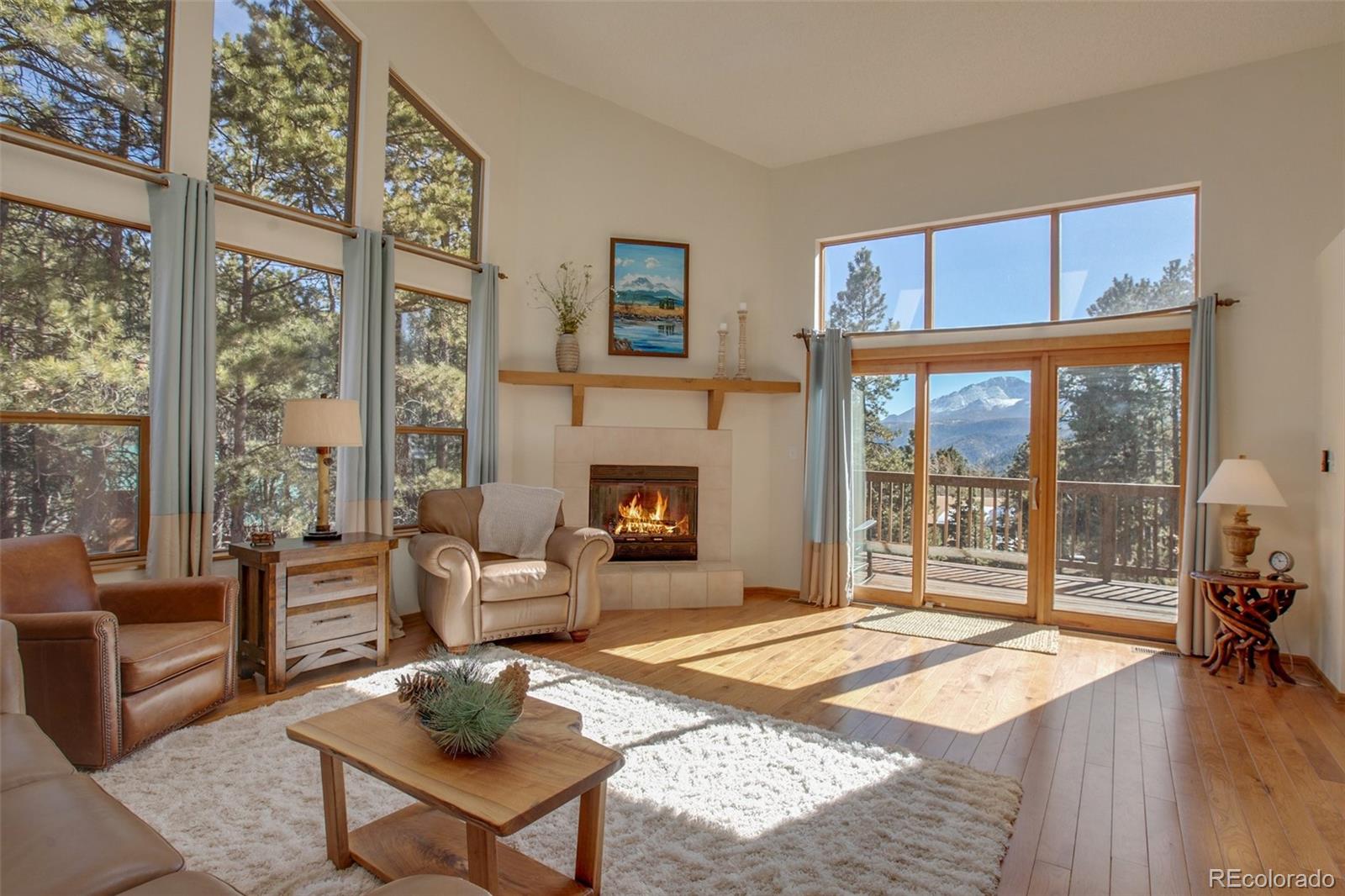MLS Image #1 for 850  sun valley drive,woodland park, Colorado