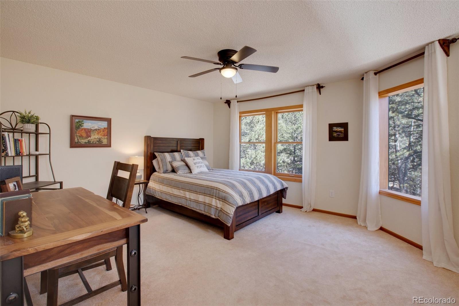 MLS Image #10 for 850  sun valley drive,woodland park, Colorado