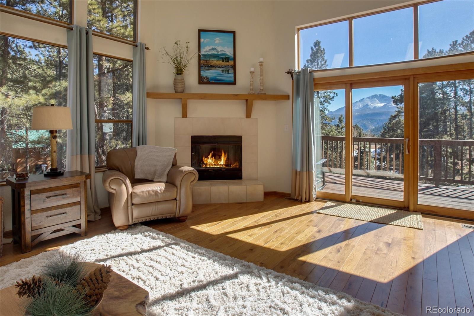 MLS Image #3 for 850  sun valley drive,woodland park, Colorado