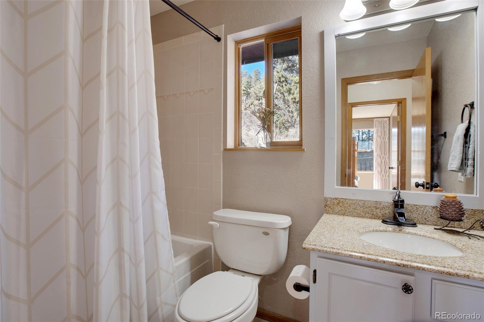 MLS Image #9 for 850  sun valley drive,woodland park, Colorado