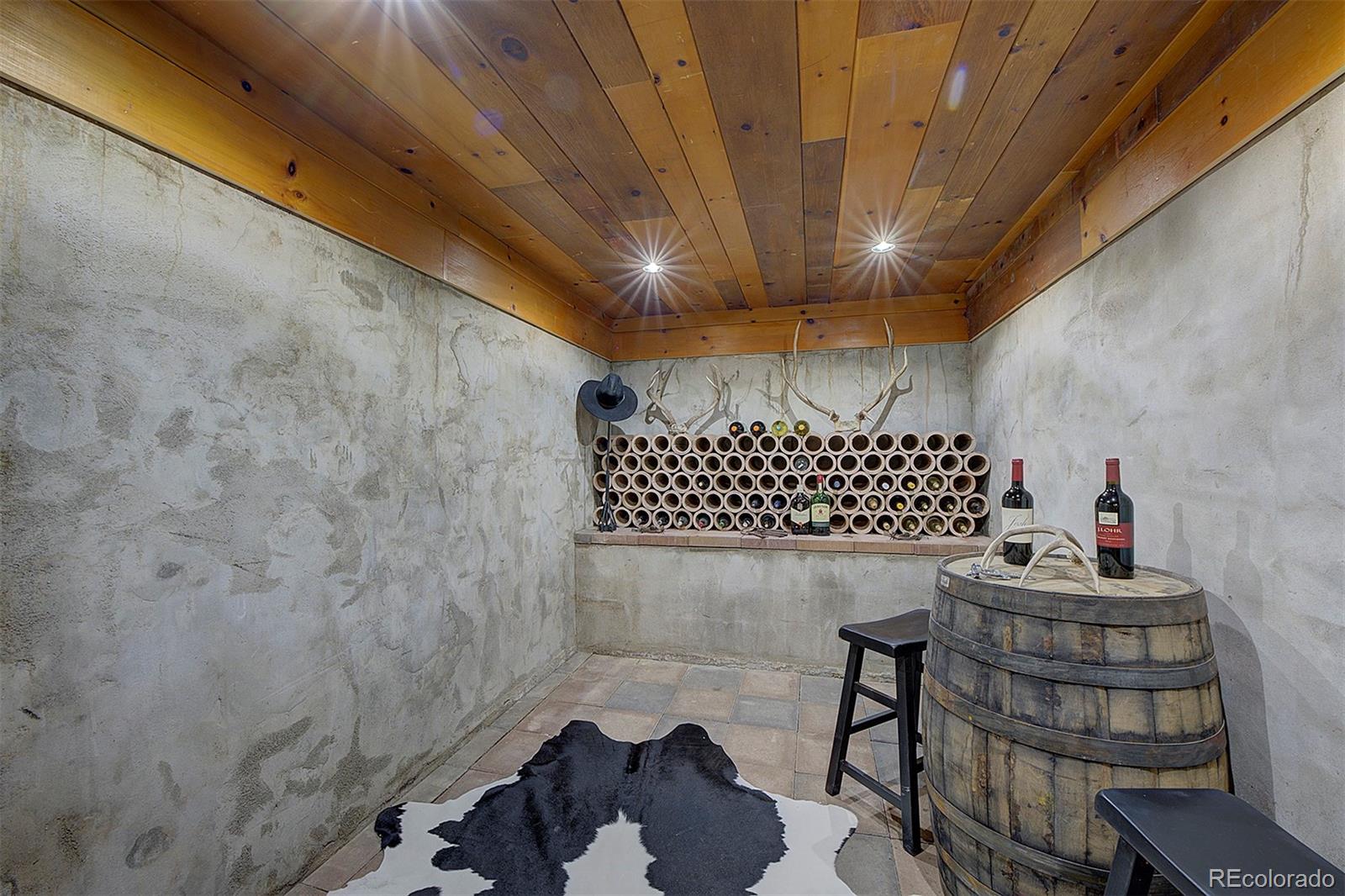 MLS Image #10 for 97  soda creek road,evergreen, Colorado
