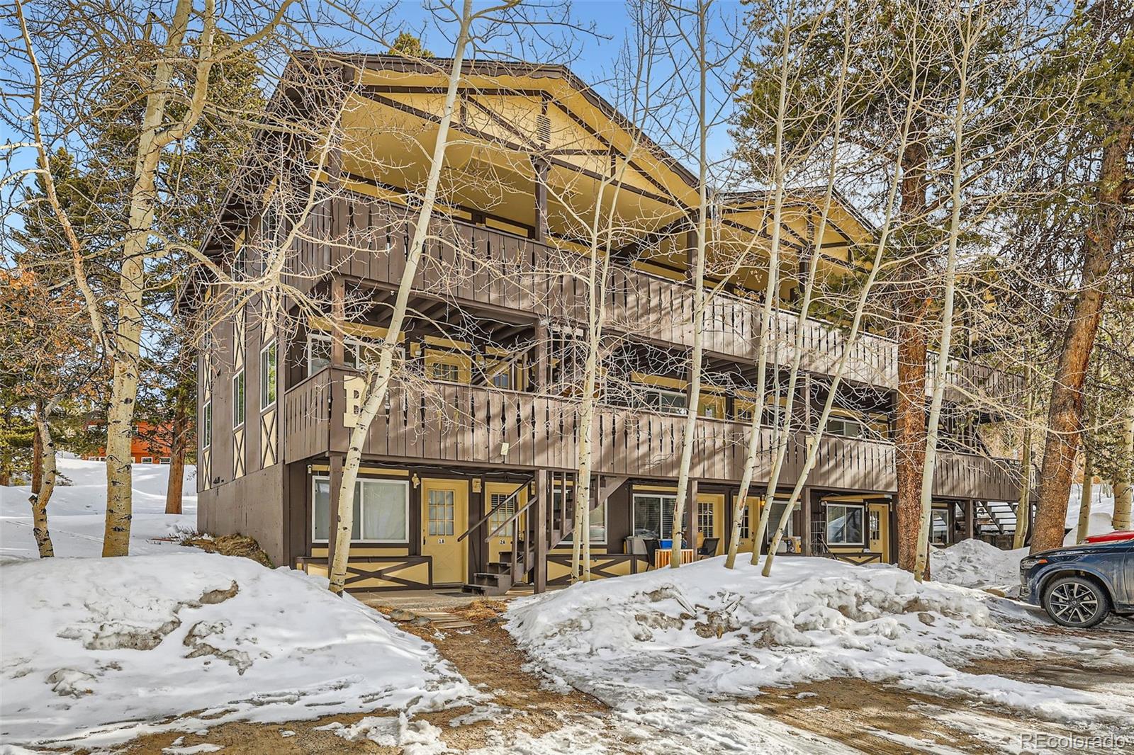 MLS Image #0 for 1941  boreas pass road,breckenridge, Colorado